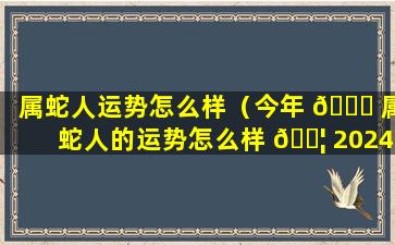 属蛇人运势怎么样（今年 🐒 属蛇人的运势怎么样 🐦 2024）